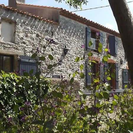 Les Farfadets - 12 Personnes Maxi Grand-Landes