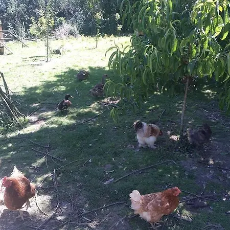 Les Farfadets - 12 Personnes Maxi Casa de Férias