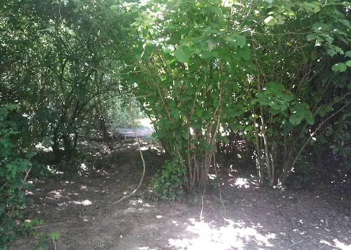 Les Farfadets - 12 Personnes Maxi Grand-Landes